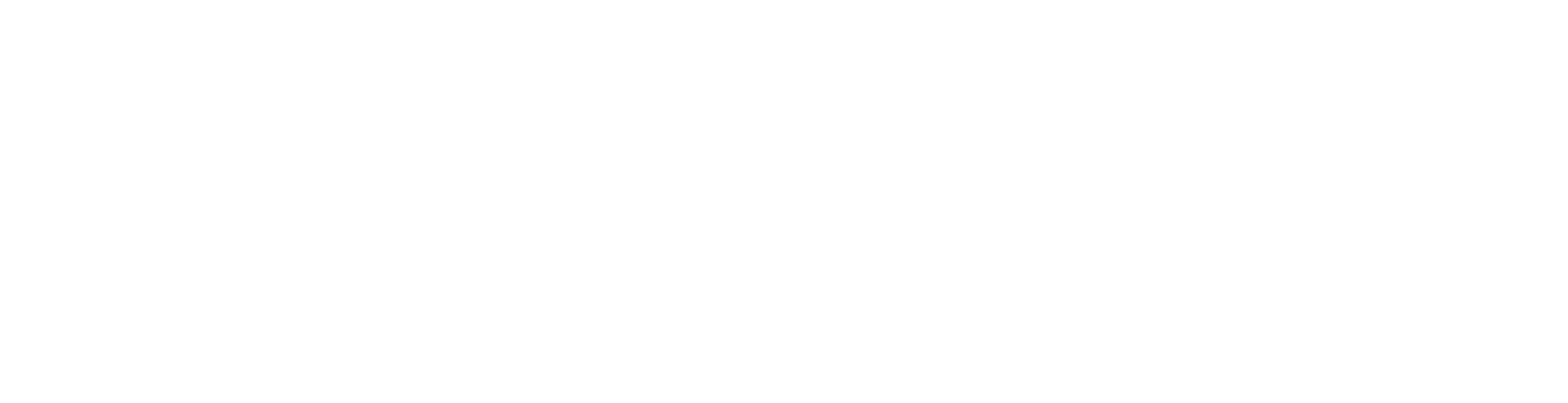 Technique Learning Solutions